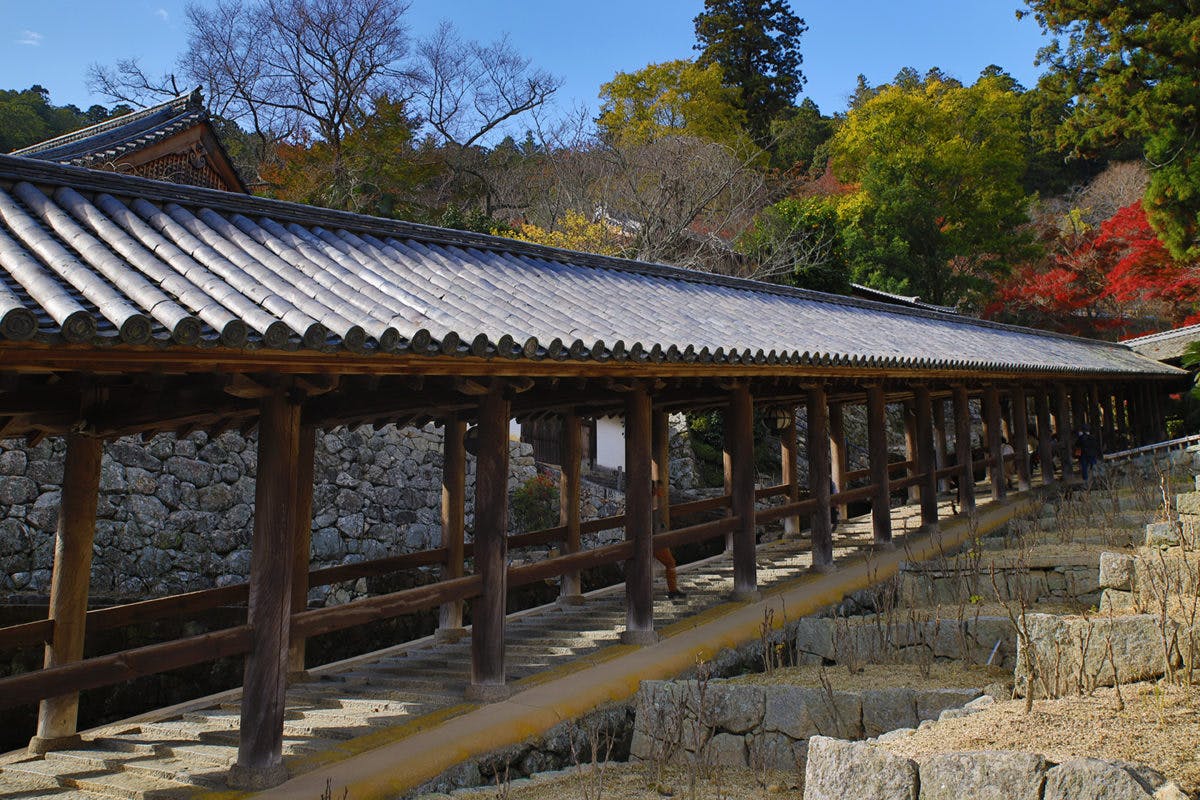 奈良 長谷寺もみじまつり 観音さまのお御足に触れよう オマツリジャパン あなたと祭りをつなげるメディア