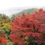 「太平山もみじまつり」、天候や時間とともに変化する眺望を背景に楽しむ紅葉