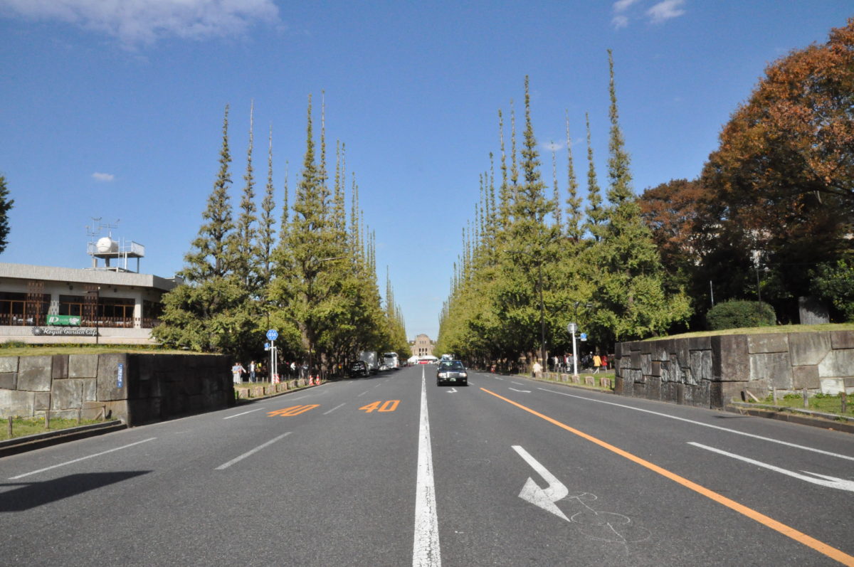 神宮外苑いちょう祭り
