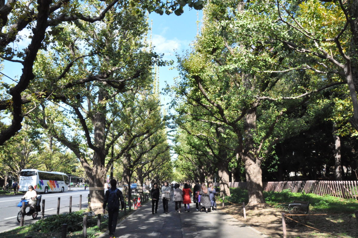 神宮外苑いちょう祭り