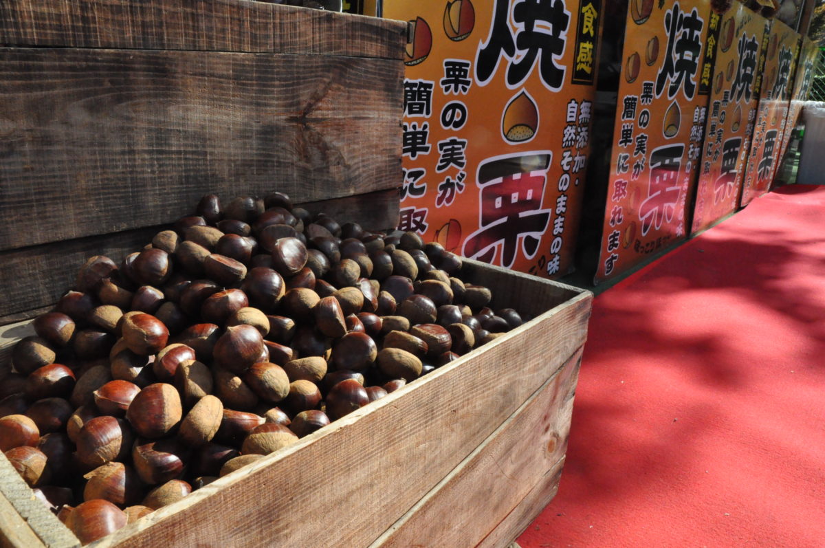 神宮外苑いちょう祭り