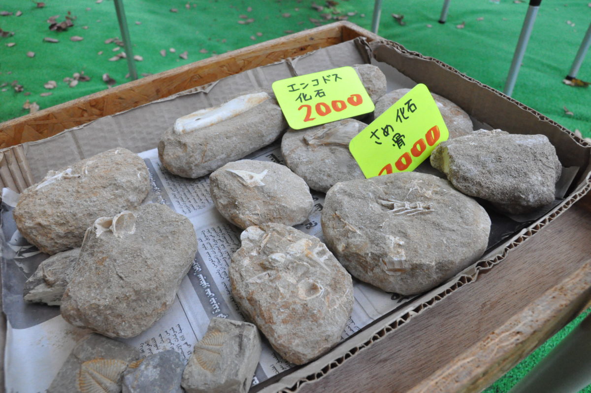 神宮外苑いちょう祭り