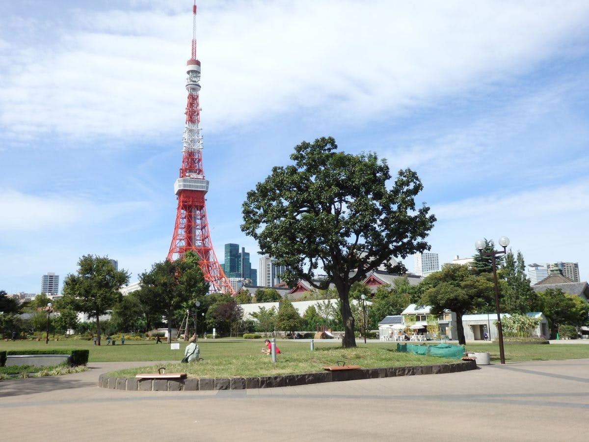 東京タワーウィンターファンタジー 東京タワーのライトアップにコラボする キャンドルタワー のイルミネーション オマツリジャパン あなたと祭りをつなげるメディア 東京タワーウィンターファンタジー 東京タワーのライトアップにコラボする キャンドルタワー のイルミネーション オマツリジャパン あなたと祭りをつなげるメディア