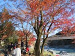 「みたけ渓谷秋色まつり」多摩川沿いに整備された遊歩道を紅葉狩りハイキング