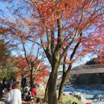 「みたけ渓谷秋色まつり」多摩川沿いに整備された遊歩道を紅葉狩りハイキング