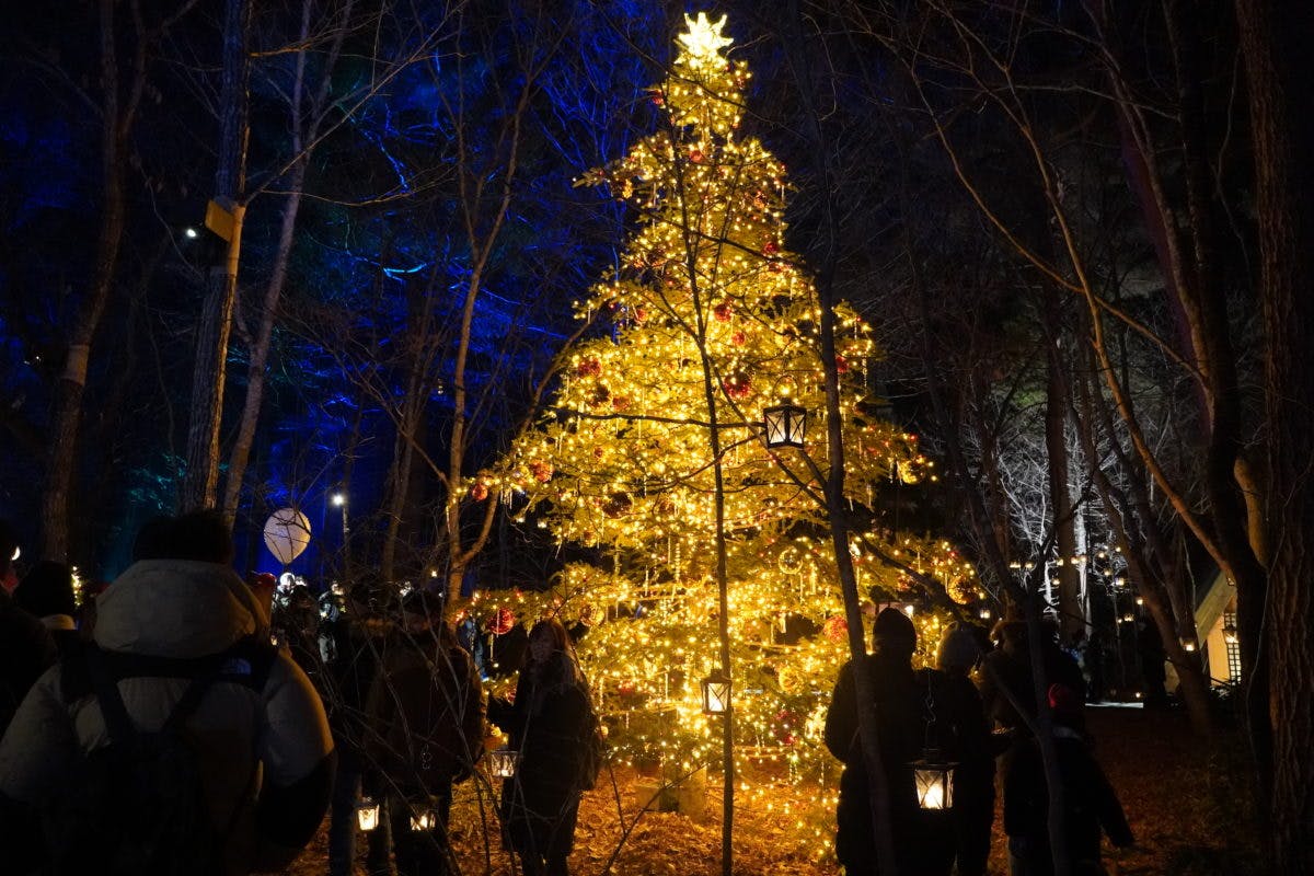 軽井沢高原教会 星降る森のクリスマス は日帰りで楽しめる 帰りに温泉も オマツリジャパン あなたと祭りをつなげるメディア