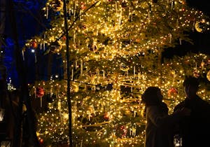 軽井沢高原教会 星降る森のクリスマス は日帰りで楽しめる 帰りに温泉も オマツリジャパン あなたと祭りをつなげるメディア 軽井沢高原教会 星降る森のクリスマス は日帰りで楽しめる 帰りに温泉も オマツリジャパン あなたと祭りをつなげるメディア