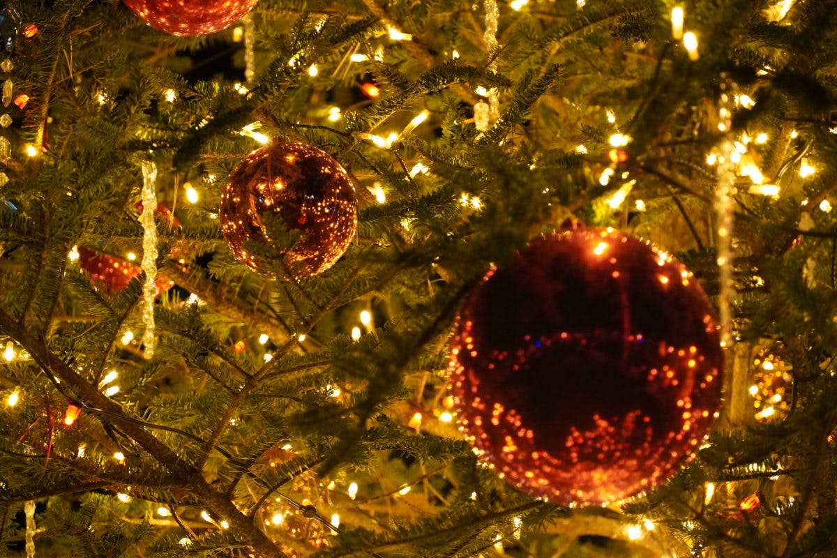 軽井沢高原教会 星降る森のクリスマス は日帰りで楽しめる 帰りに温泉も オマツリジャパン あなたと祭りをつなげるメディア 軽井沢高原教会 星降る森のクリスマス は日帰りで楽しめる 帰りに温泉も オマツリジャパン あなたと祭りをつなげるメディア