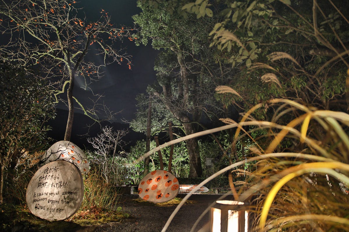 京都嵐山花灯路 渡月橋と竹林の小径だけじゃない デジタルアートと古都の融合 オマツリジャパン あなたと祭りをつなげるメディア 京都嵐山花灯路 渡月橋と竹林の小径だけじゃない デジタルアートと古都の融合 オマツリジャパン あなたと祭りをつなげるメディア