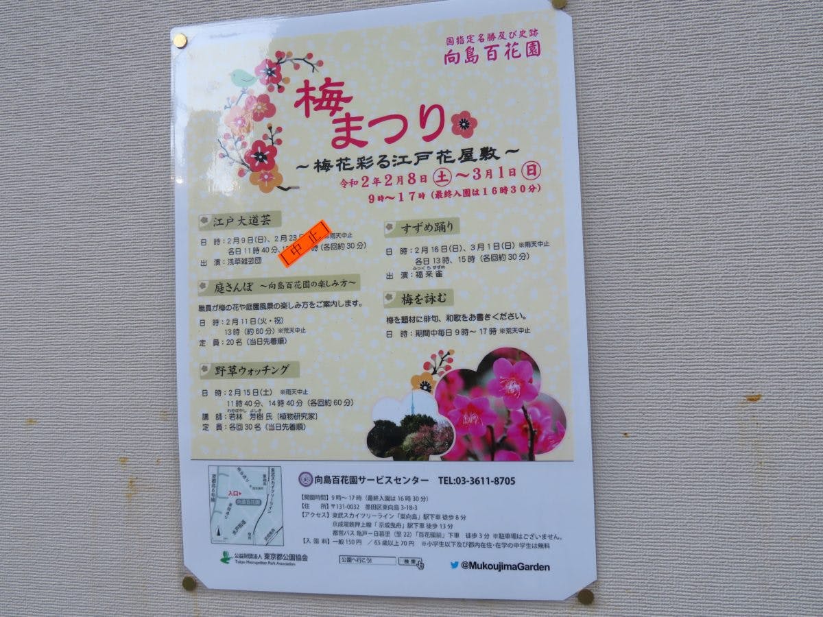 向島百花園梅まつり 江戸時代から文人墨客のサロンとなった日本庭園を彩る梅の花 オマツリジャパン あなたと祭りをつなげるメディア