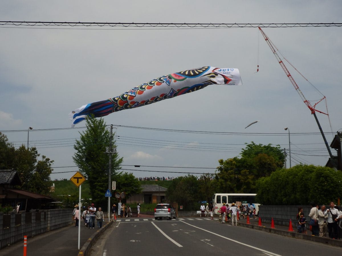 ジャンボこいのぼり クレーン車につられ利根川の上空で風に舞う日本一大きなこいのぼり オマツリジャパン 毎日 祭日 ジャンボこいのぼり クレーン車につられ利根川の上空で風に舞う日本一大きなこいのぼり オマツリジャパン 毎日 祭日
