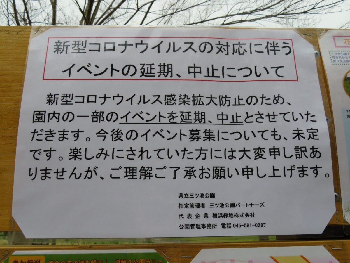 三ツ池公園さくらまつり 穏やかな池の水面に映りこむ多品種の桜の花の彩り オマツリジャパン あなたと祭りをつなげるメディア 三ツ池公園さくらまつり 穏やかな池の水面に映りこむ多品種の桜の花の彩り オマツリジャパン あなたと祭りをつなげるメディア