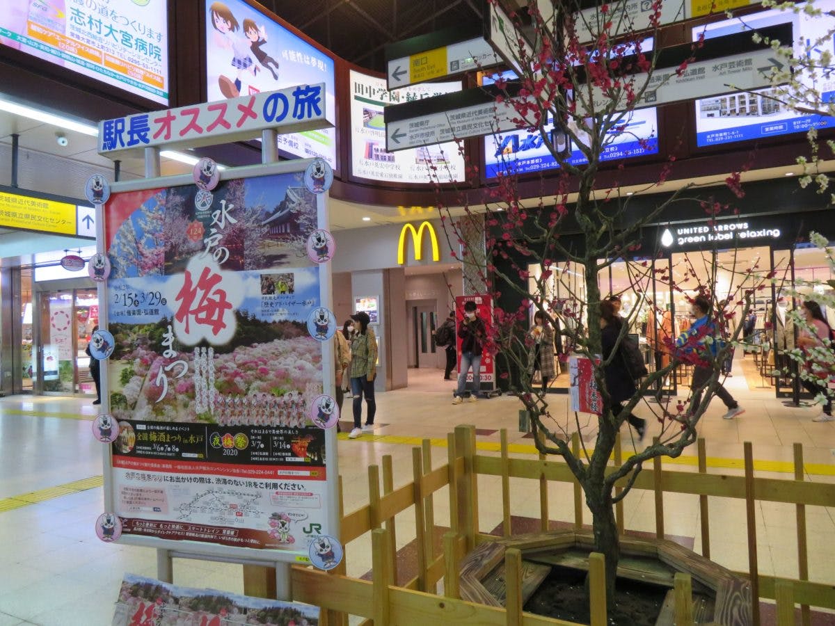 水戸の梅まつり 日本三名園に数えられる偕楽園の梅林は国内屈指の梅の名所 オマツリジャパン 毎日 祭日 水戸の梅まつり 日本三名園に数えられる偕楽園の梅林は国内屈指の梅の名所 オマツリジャパン 毎日 祭日