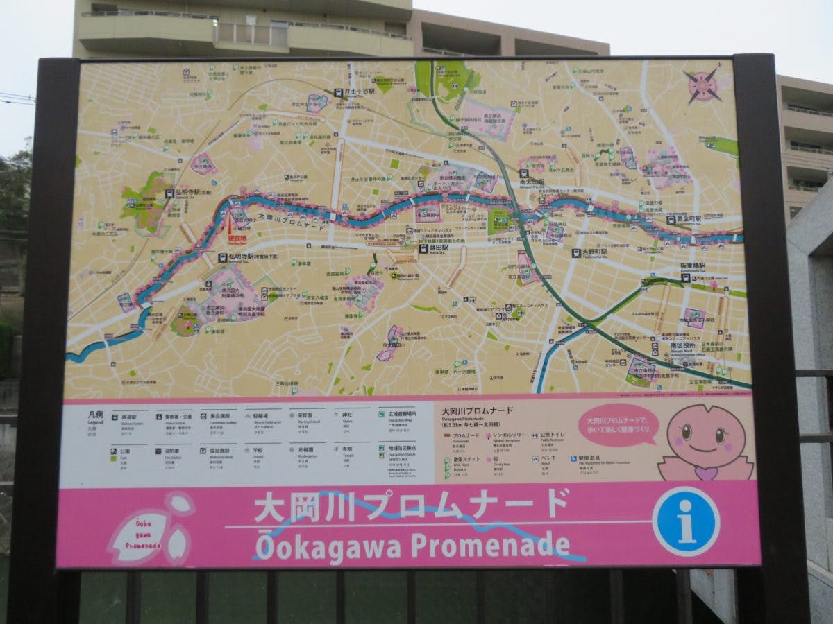 大岡川プロムナード桜まつり 観音橋から太田橋まで薄紅色の帯を繋ぐ桜並木 オマツリジャパン 毎日 祭日 大岡川プロムナード桜まつり 観音橋から太田橋まで薄紅色の帯を繋ぐ桜並木 オマツリジャパン 毎日 祭日