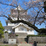 【千葉城さくら祭り】再建された天守閣を彩る亥鼻公園のソメイヨシノ