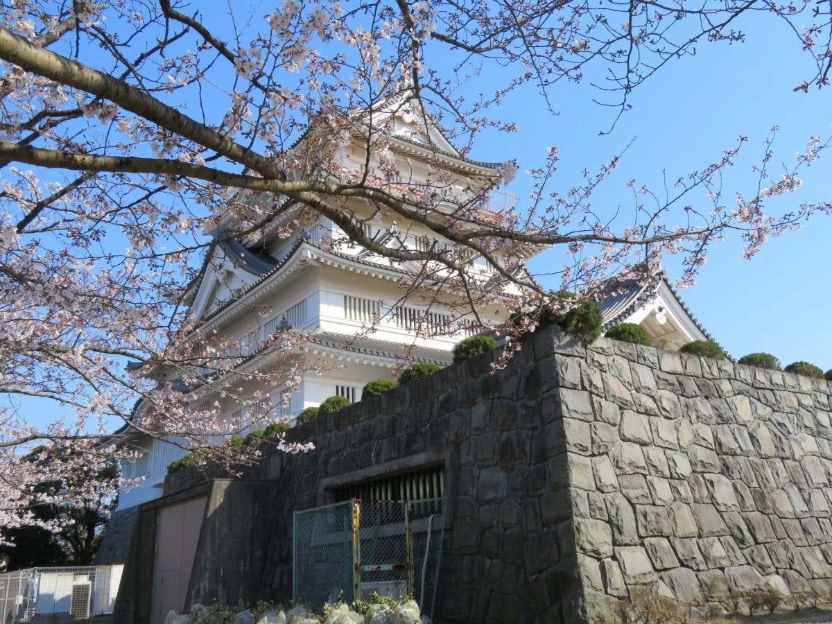 千葉城さくら祭り 再建された天守閣を彩る亥鼻公園のソメイヨシノ オマツリジャパン あなたと祭りをつなげるメディア