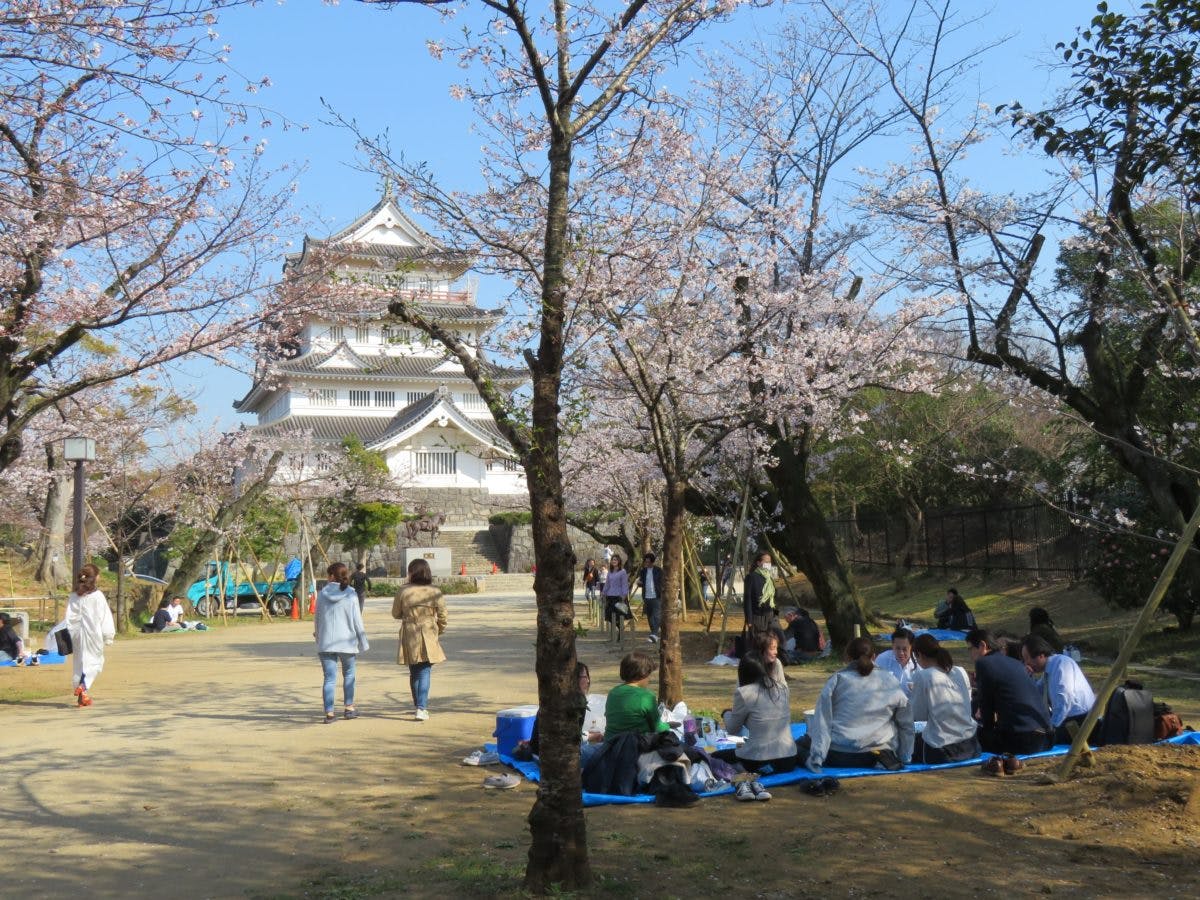 千葉城さくら祭り 再建された天守閣を彩る亥鼻公園のソメイヨシノ オマツリジャパン あなたと祭りをつなげるメディア 千葉城さくら祭り 再建された天守閣を彩る亥鼻公園のソメイヨシノ オマツリジャパン あなたと祭りをつなげるメディア