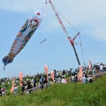 【ジャンボこいのぼり】クレーン車につられ利根川の上空で風に舞う日本一大きなこいのぼり