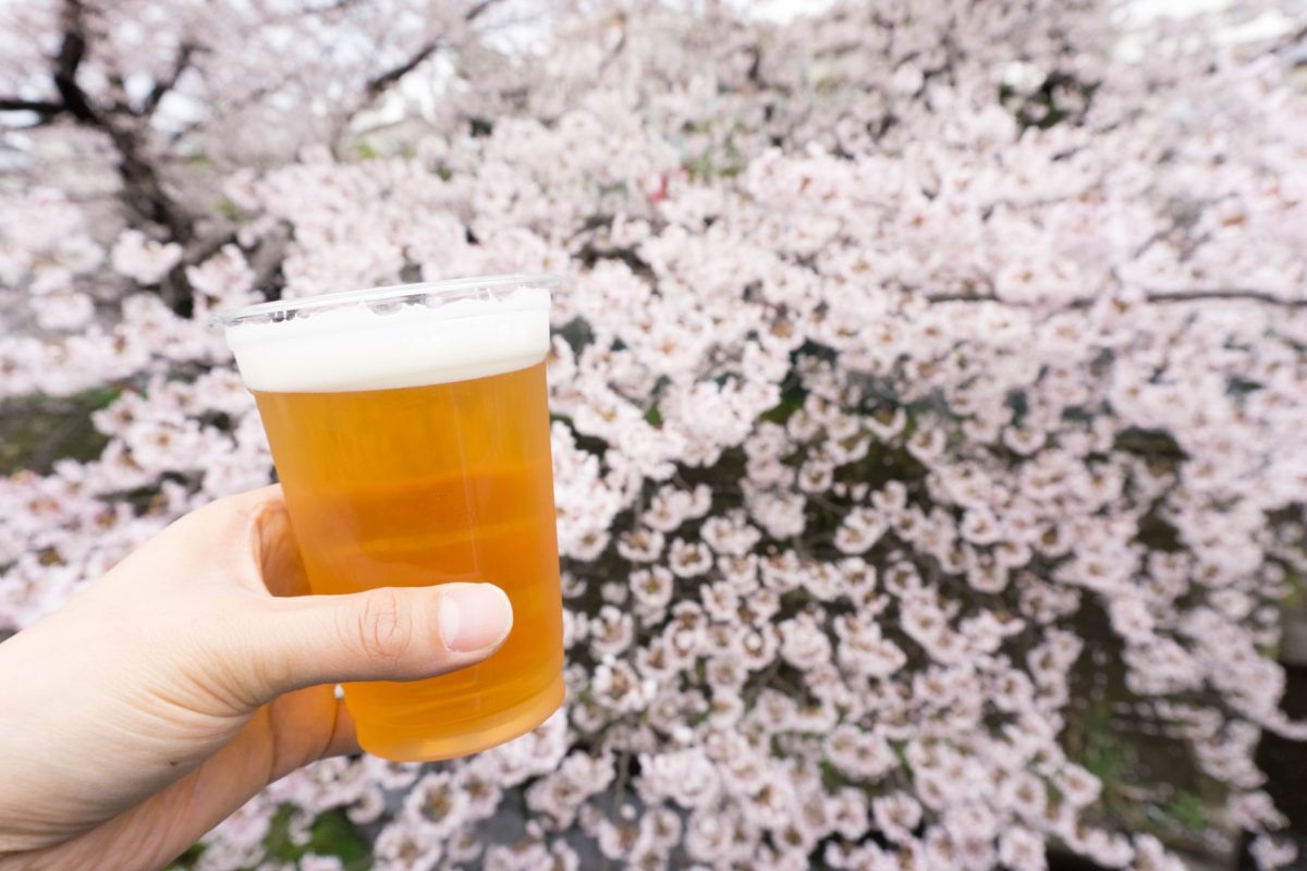 お花見で飲みたいビール特集！桜柄のオシャレなラベルも必見