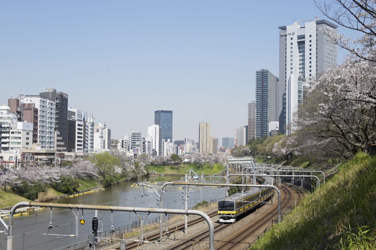 電車から見る桜は格別！都心から1時間で行ける関東の駅チカ花見スポット