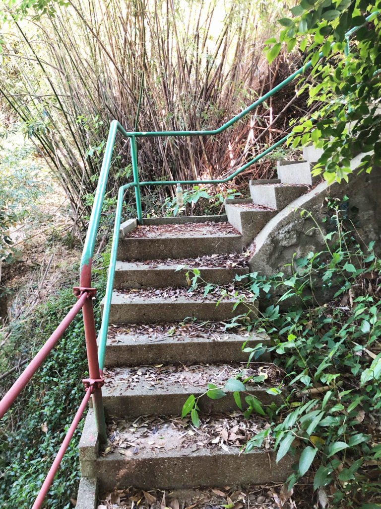 『新銀取り坂』。江戸時代流通をはじめた銀貨は新銀と呼ばれ、新銀目当ての遊女たちがこの坂を上り下りしては、船乗りを迎え、見送ったという