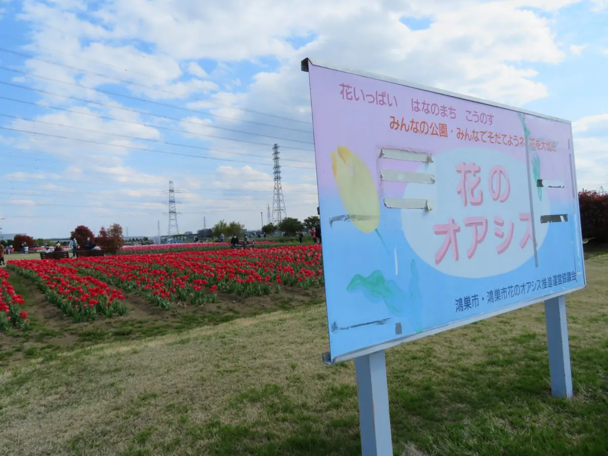 花のオアシスフェア チューリップまつり 色や形で個性を競う約4万の花々 オマツリジャパン あなたと祭りをつなげるメディア
