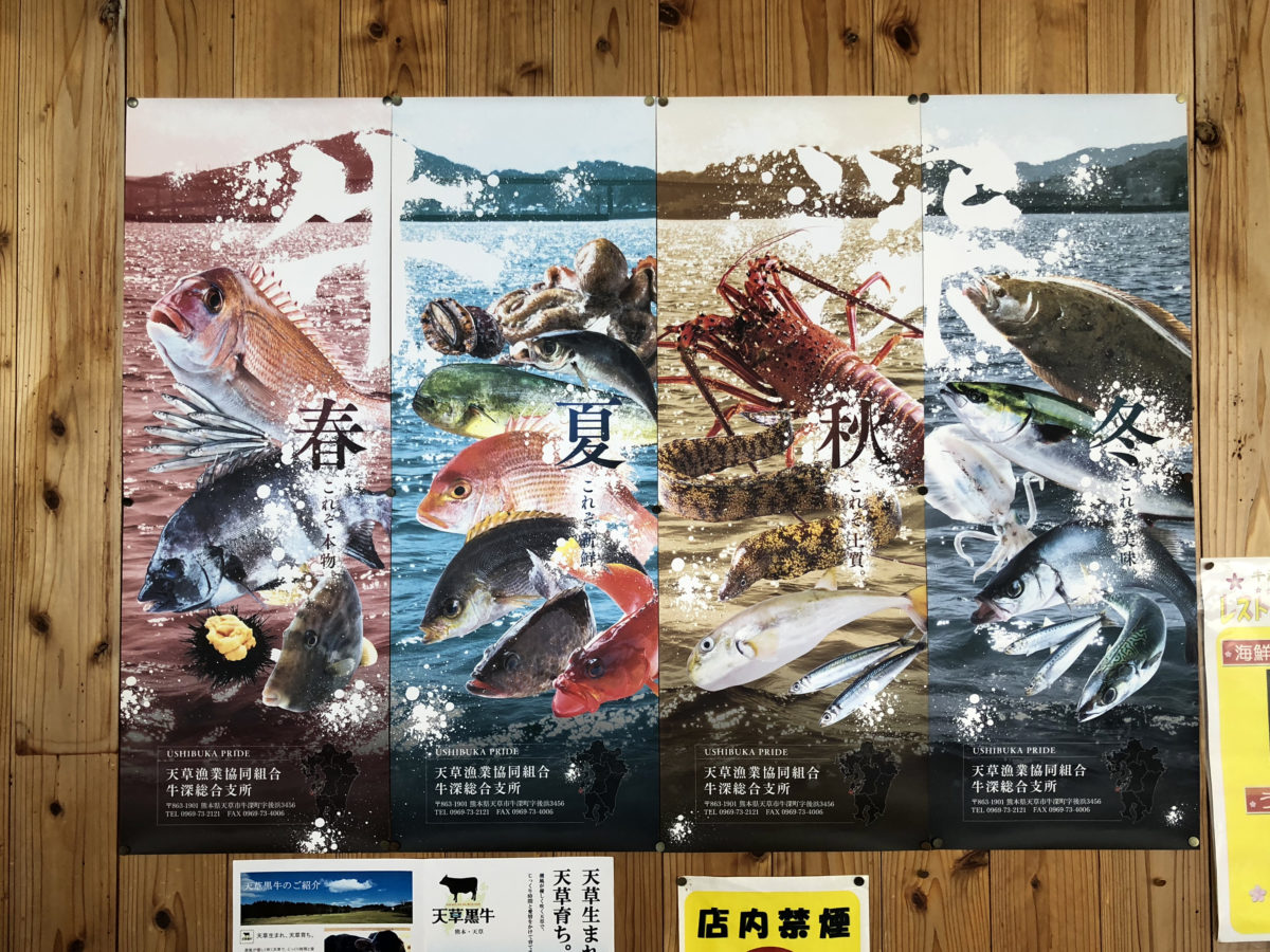豊かな海の幸を象徴する、天草漁業協同組合牛深総合支所のポスター