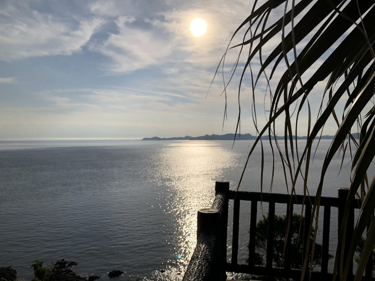 鹿児島から蔵之元港への途中は、風光明媚なルートでドライブも快適だ