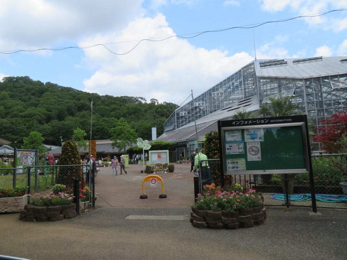 とちぎ花センター ローズフェスタが開催中 450種類のバラを楽しもう オマツリジャパン あなたと祭りをつなげるメディア