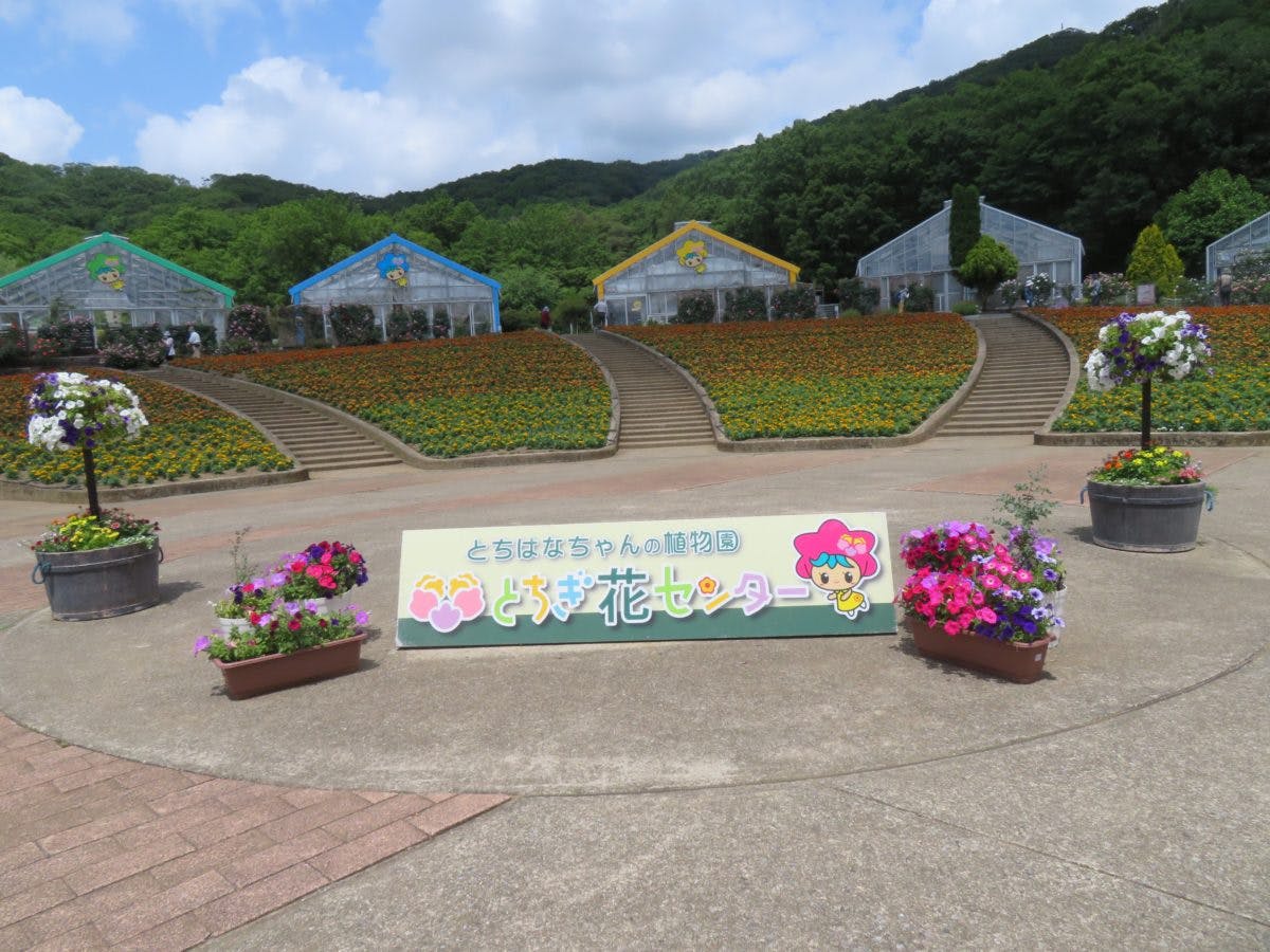 とちぎ花センター ローズフェスタが開催中 450種類のバラを楽しもう オマツリジャパン あなたと祭りをつなげるメディア とちぎ花センター ローズフェスタが開催中 450種類のバラを楽しもう オマツリジャパン あなたと祭りをつなげるメディア