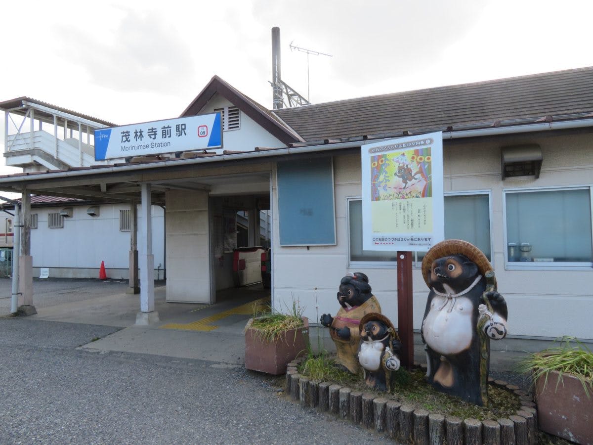 東武トレジャーガーデン ローズガーデン祭り 様々な花々がバラにコラボ オマツリジャパン あなたと祭りをつなげるメディア 東武トレジャーガーデン ローズガーデン祭り 様々な花々がバラにコラボ オマツリジャパン あなたと祭りをつなげるメディア