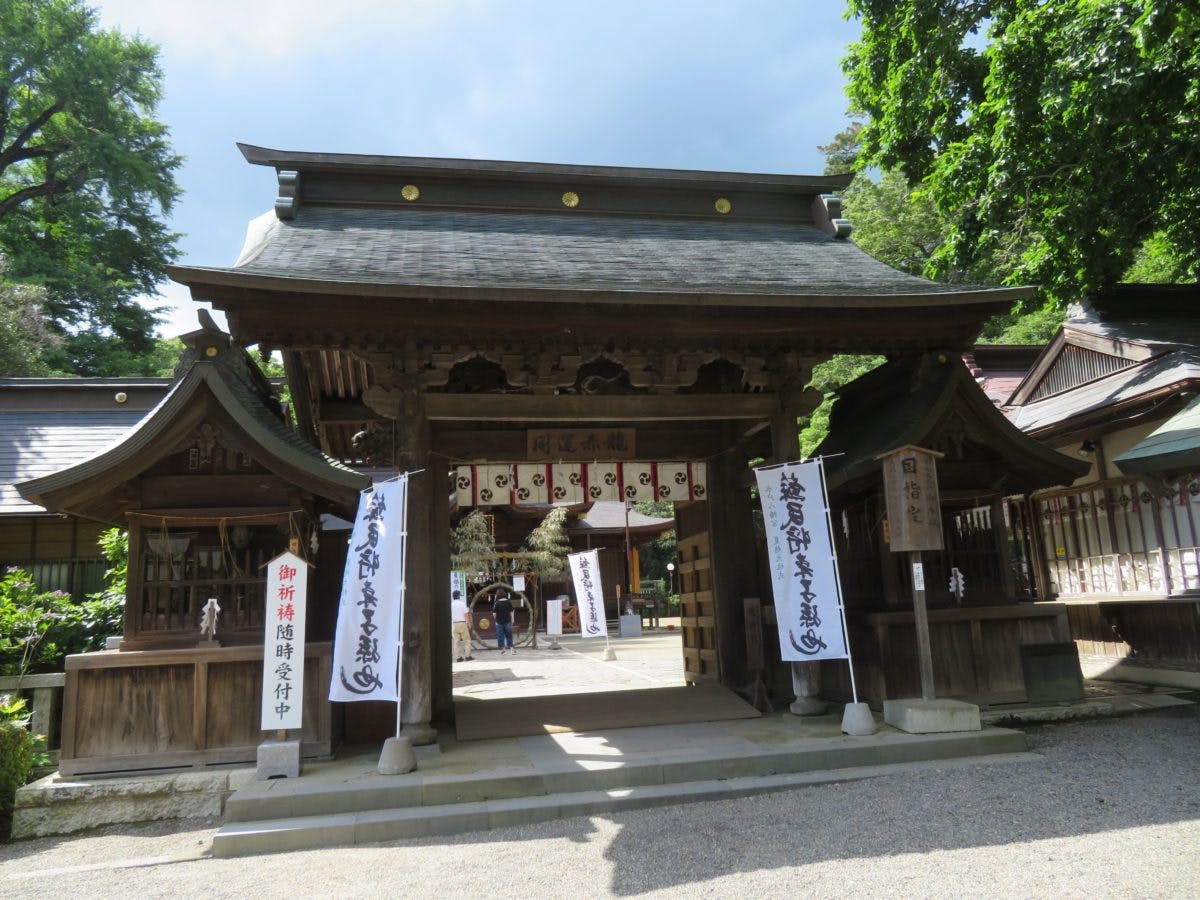 水戸のあじさいまつり 水戸八幡宮の杉木立を帯のように彩る山あじさい オマツリジャパン あなたと祭りをつなげるメディア