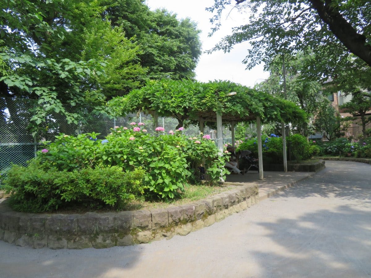 文京あじさいまつりの魅力とは 歴史ある白山神社でどのように楽しめる オマツリジャパン あなたと祭りをつなげるメディア 文京あじさいまつりの魅力とは 歴史ある白山神社でどのように楽しめる オマツリジャパン あなたと祭りをつなげるメディア