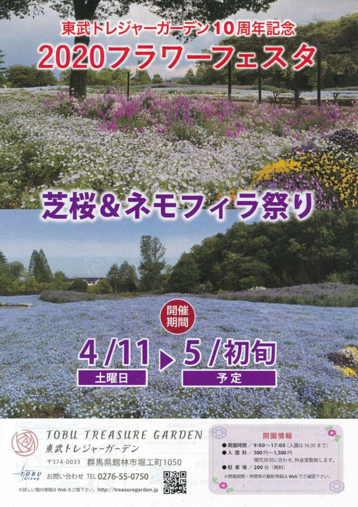 東武トレジャーガーデン ローズガーデン祭り 様々な花々がバラにコラボ オマツリジャパン あなたと祭りをつなげるメディア 東武トレジャーガーデン ローズガーデン祭り 様々な花々がバラにコラボ オマツリジャパン あなたと祭りをつなげるメディア