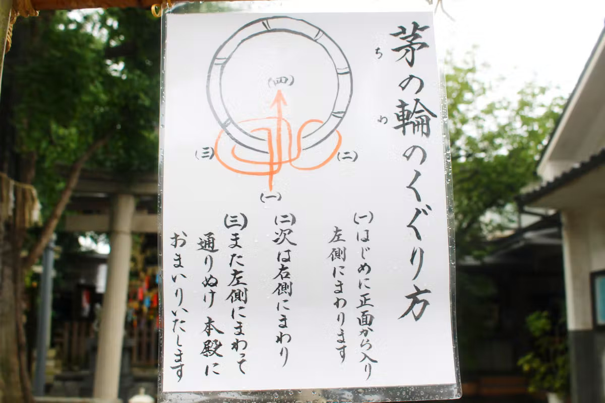 夏越の祓とは？6月に神社で見かける「茅の輪」にはどんな意味がある？｜株式会社オマツリジャパン