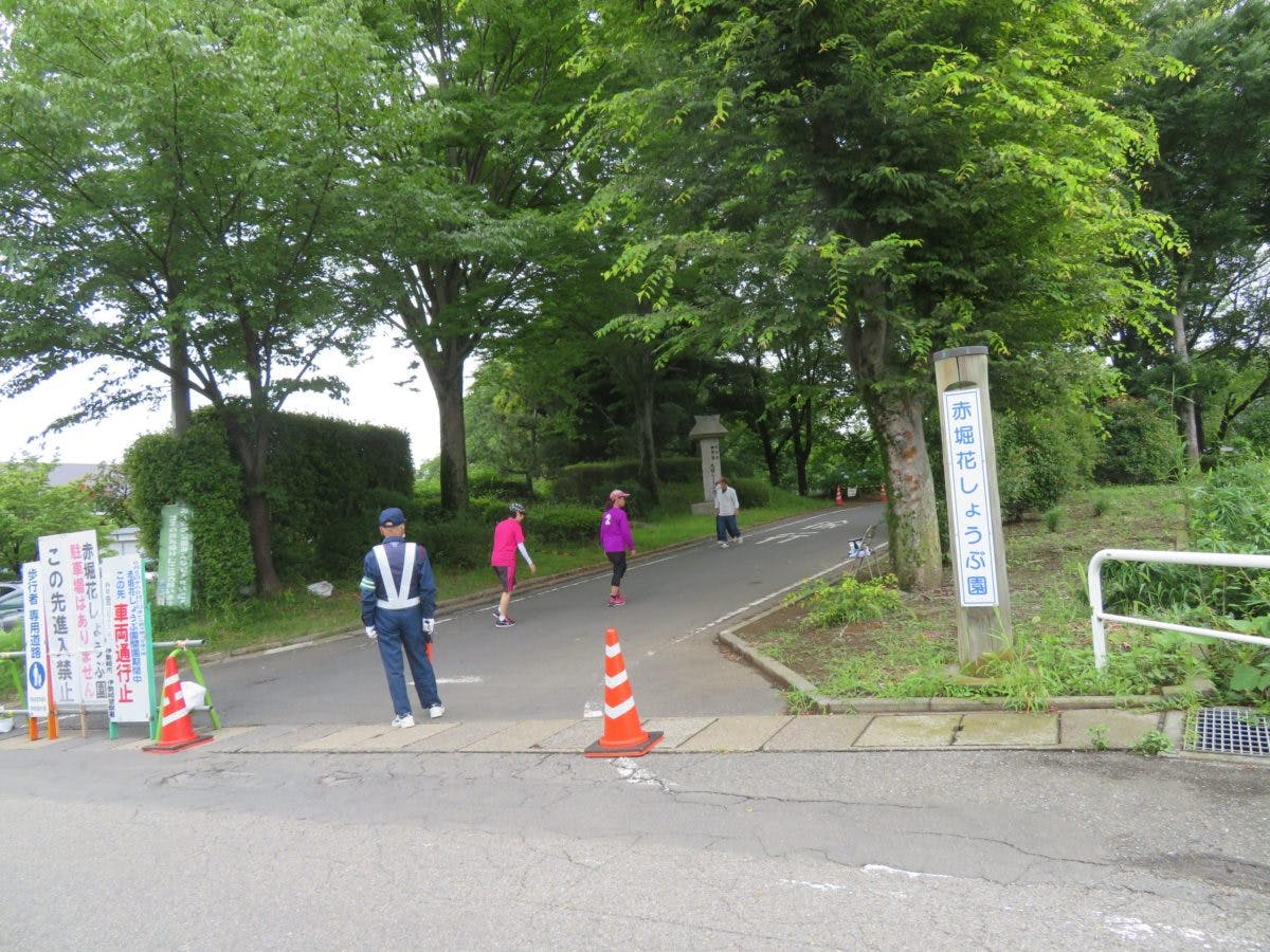 赤堀花しょうぶ園まつり 中世の水の流れを覆う初夏色のグラデーション オマツリジャパン あなたと祭りをつなげるメディア 赤堀花しょうぶ園まつり 中世の水の流れを覆う初夏色のグラデーション オマツリジャパン あなたと祭りをつなげるメディア