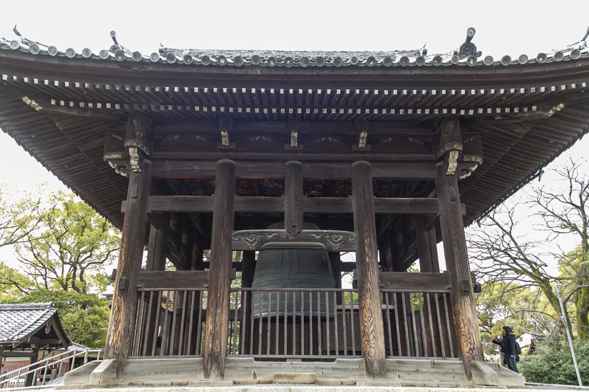 桔梗の寺 天得院 初夏の特別拝観 オマツリジャパン あなたと祭りをつなげるメディア 桔梗の寺 天得院 初夏の特別拝観 オマツリジャパン あなたと祭りをつなげるメディア