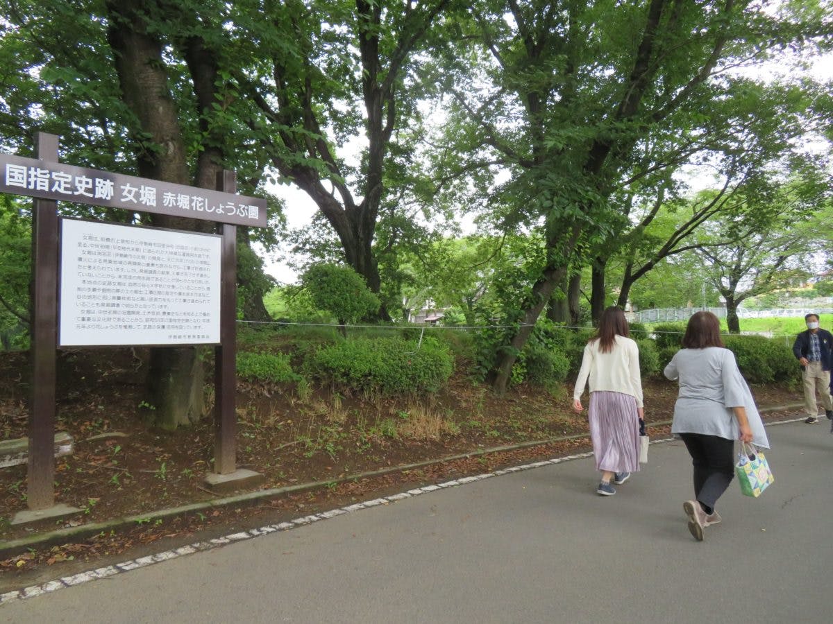 赤堀花しょうぶ園まつり 中世の水の流れを覆う初夏色のグラデーション オマツリジャパン あなたと祭りをつなげるメディア 赤堀花しょうぶ園まつり 中世の水の流れを覆う初夏色のグラデーション オマツリジャパン あなたと祭りをつなげるメディア