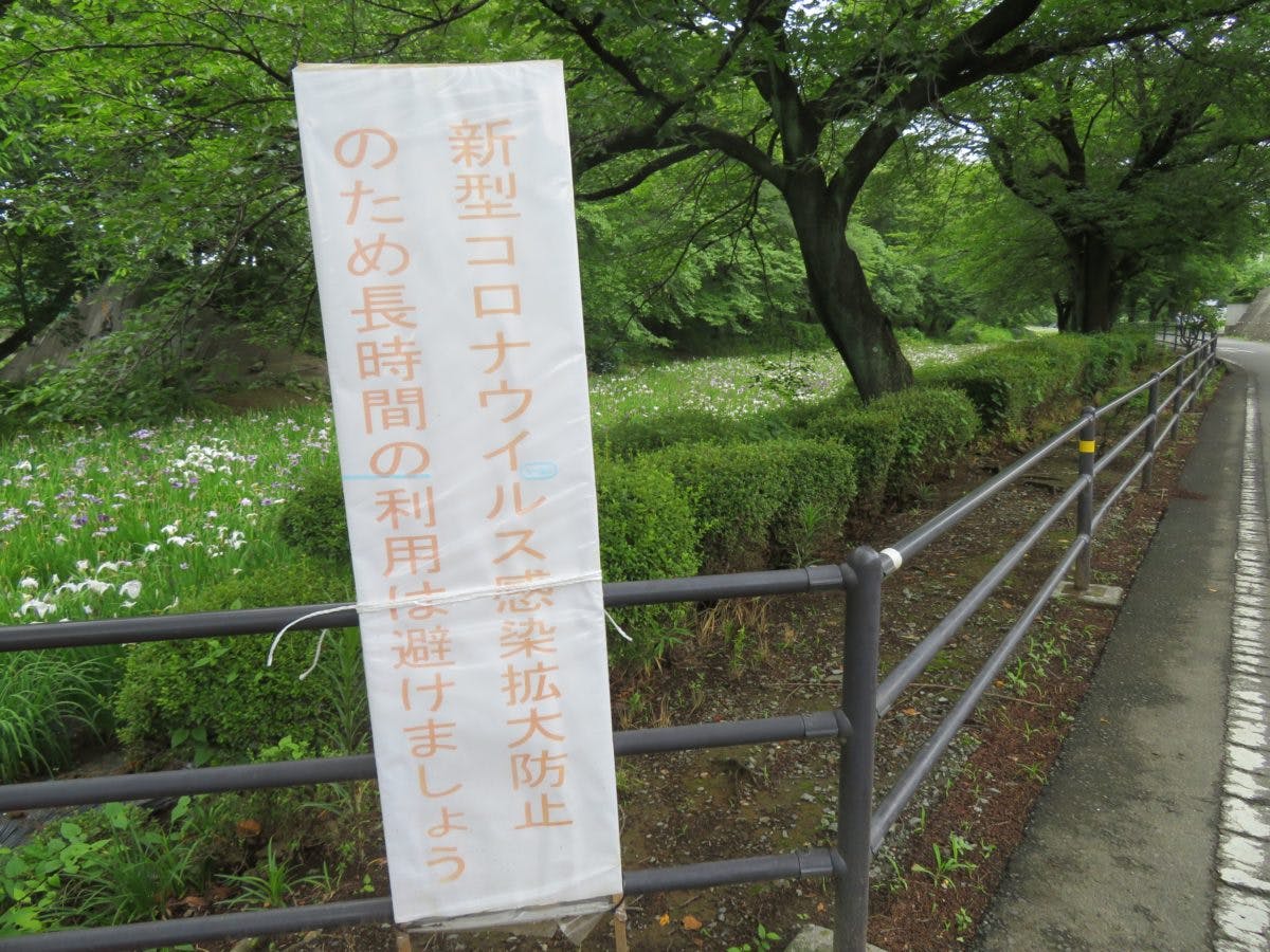 赤堀花しょうぶ園まつり 中世の水の流れを覆う初夏色のグラデーション オマツリジャパン あなたと祭りをつなげるメディア