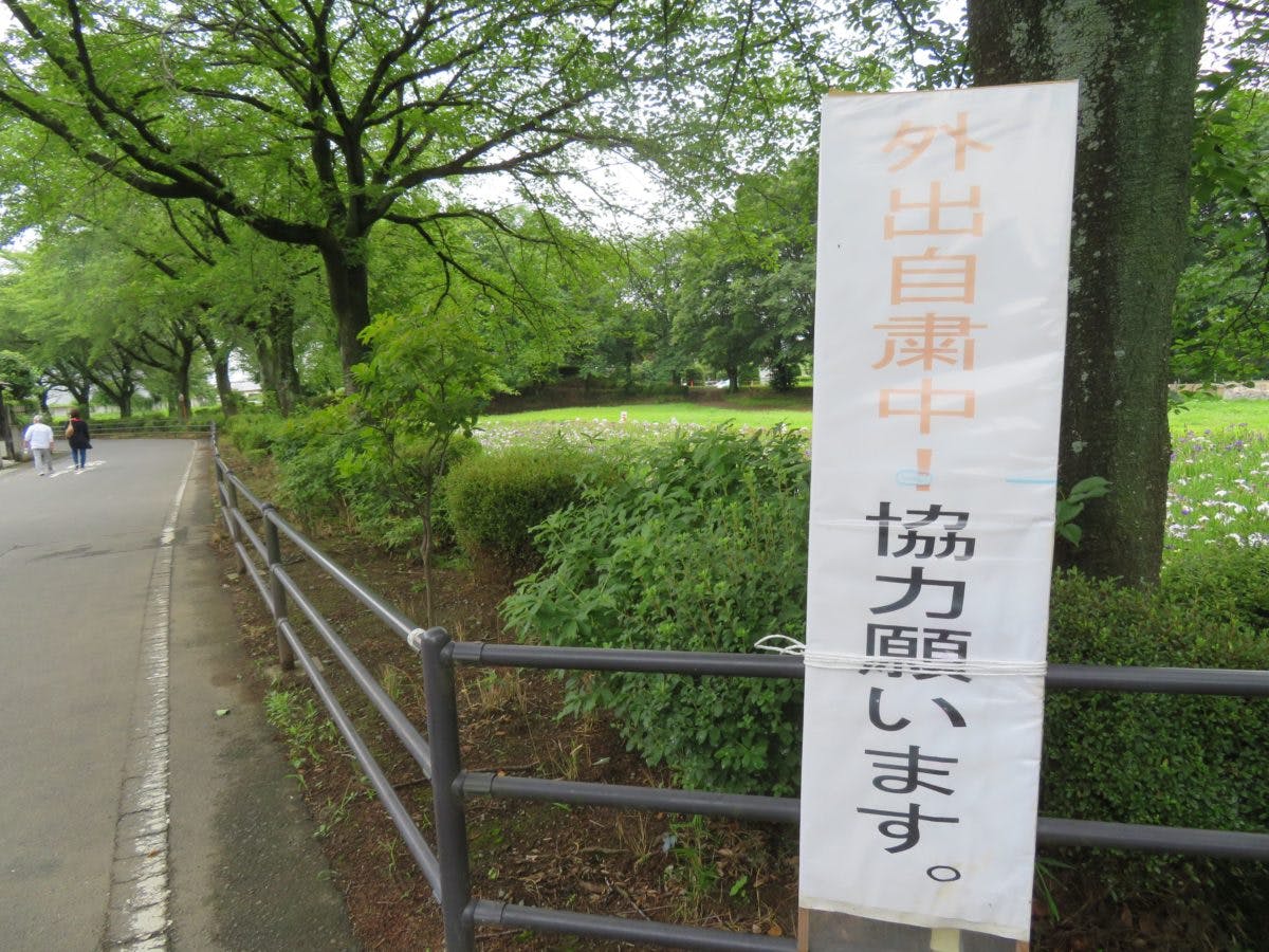 赤堀花しょうぶ園まつり 中世の水の流れを覆う初夏色のグラデーション オマツリジャパン あなたと祭りをつなげるメディア