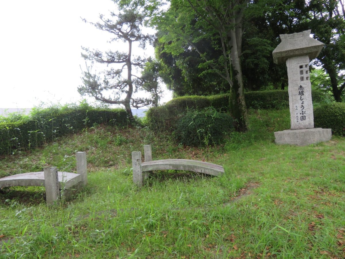 赤堀花しょうぶ園まつり 中世の水の流れを覆う初夏色のグラデーション オマツリジャパン あなたと祭りをつなげるメディア 赤堀花しょうぶ園まつり 中世の水の流れを覆う初夏色のグラデーション オマツリジャパン あなたと祭りをつなげるメディア