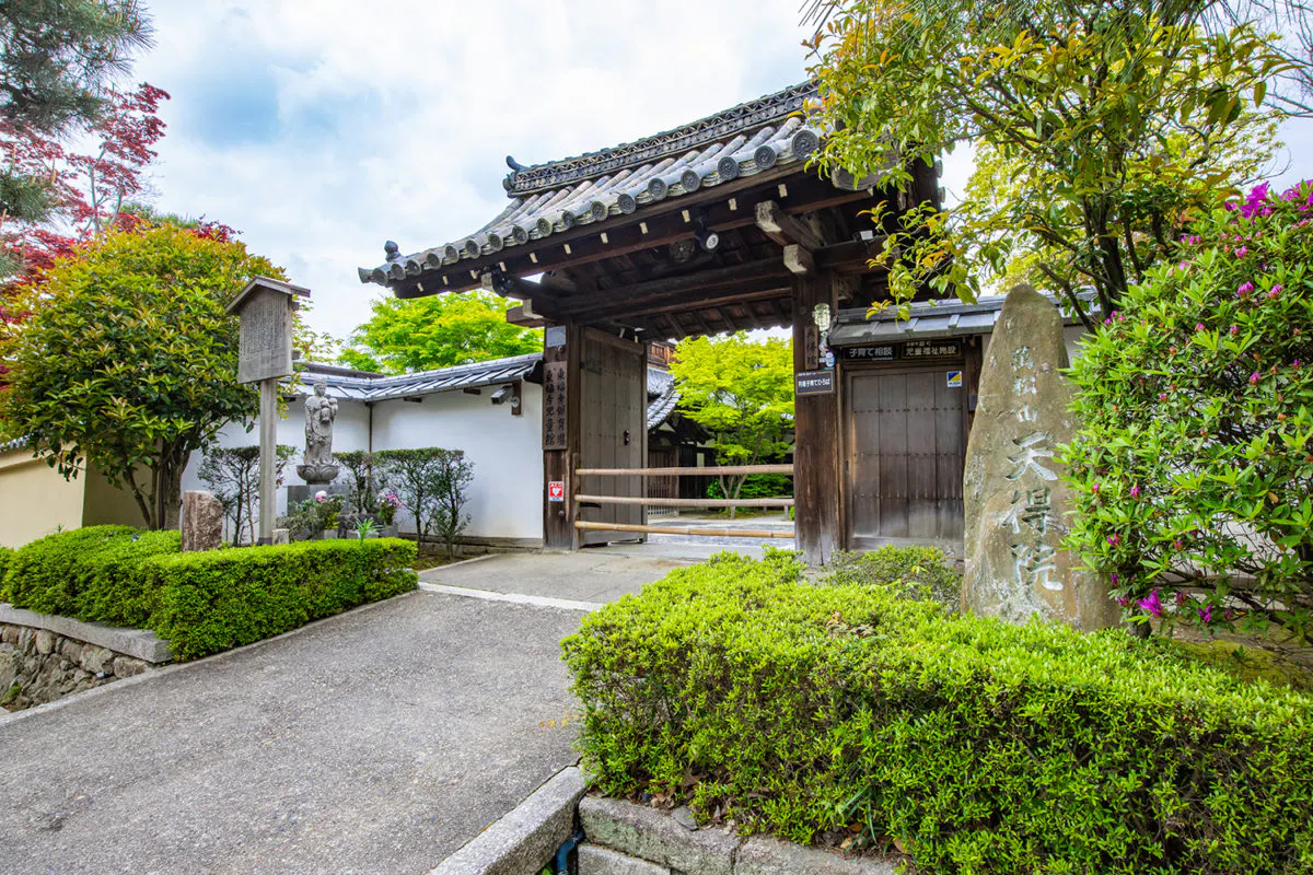 桔梗の寺 天得院 初夏の特別拝観 オマツリジャパン あなたと祭りをつなげるメディア 桔梗の寺 天得院 初夏の特別拝観 オマツリジャパン あなたと祭りをつなげるメディア