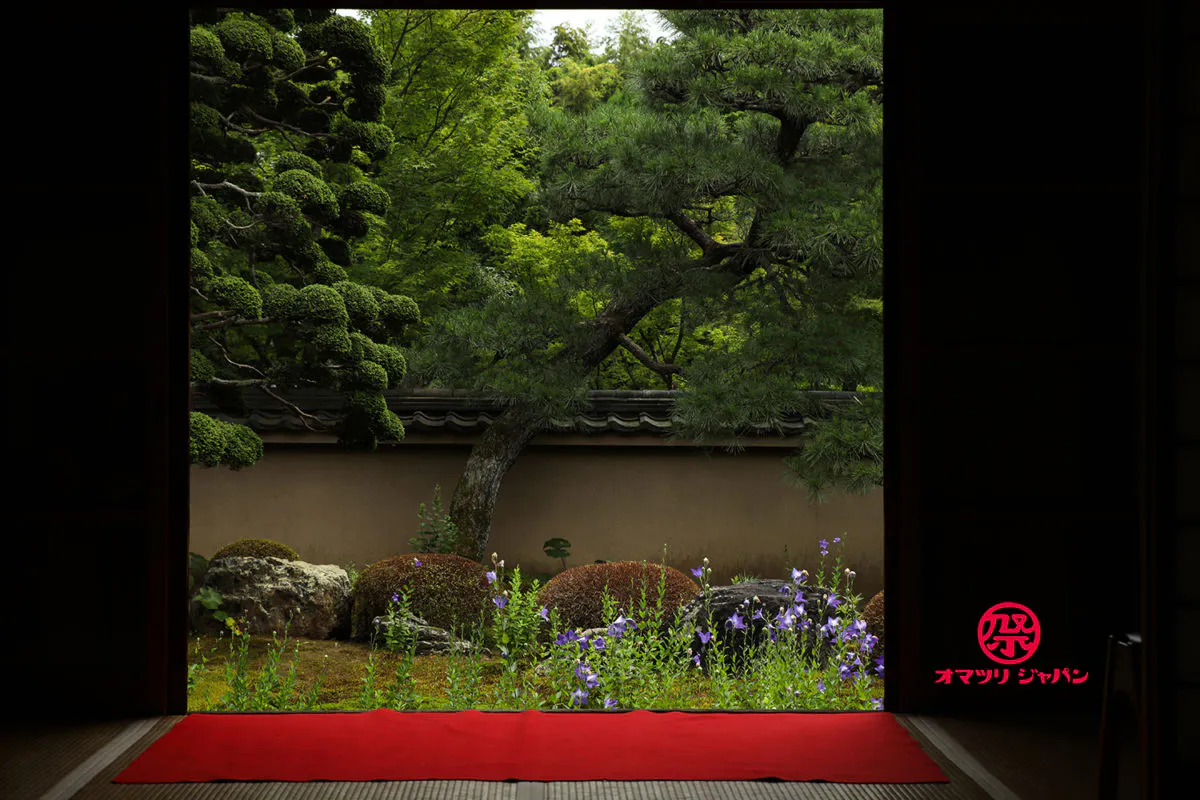 桔梗の寺 天得院 初夏の特別拝観 オマツリジャパン あなたと祭りをつなげるメディア 桔梗の寺 天得院 初夏の特別拝観 オマツリジャパン あなたと祭りをつなげるメディア