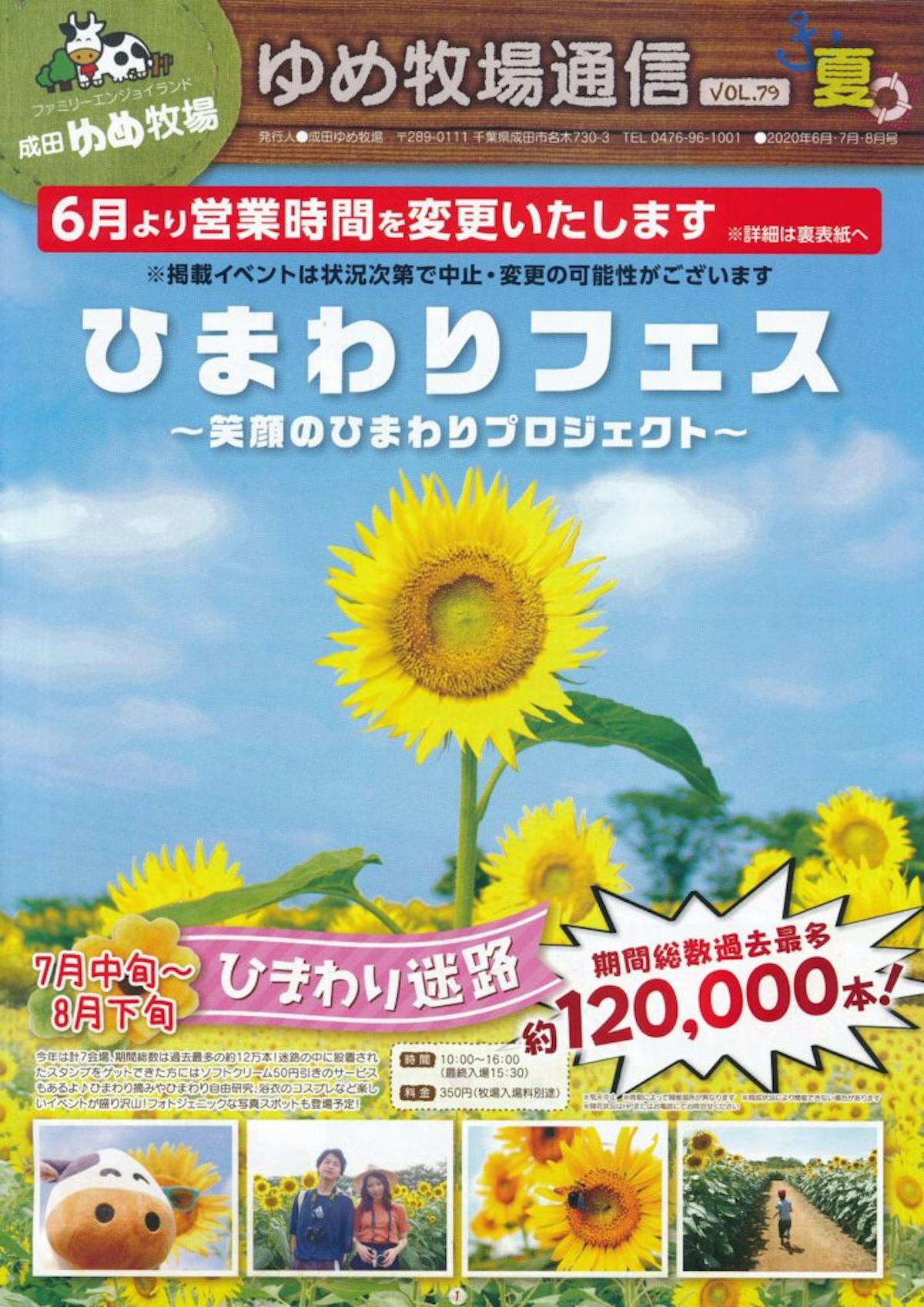 ひまわりフェス 見渡す限り大輪の花が広がる成田ゆめ牧場に溢れる魅力 オマツリジャパン あなたと祭りをつなげるメディア