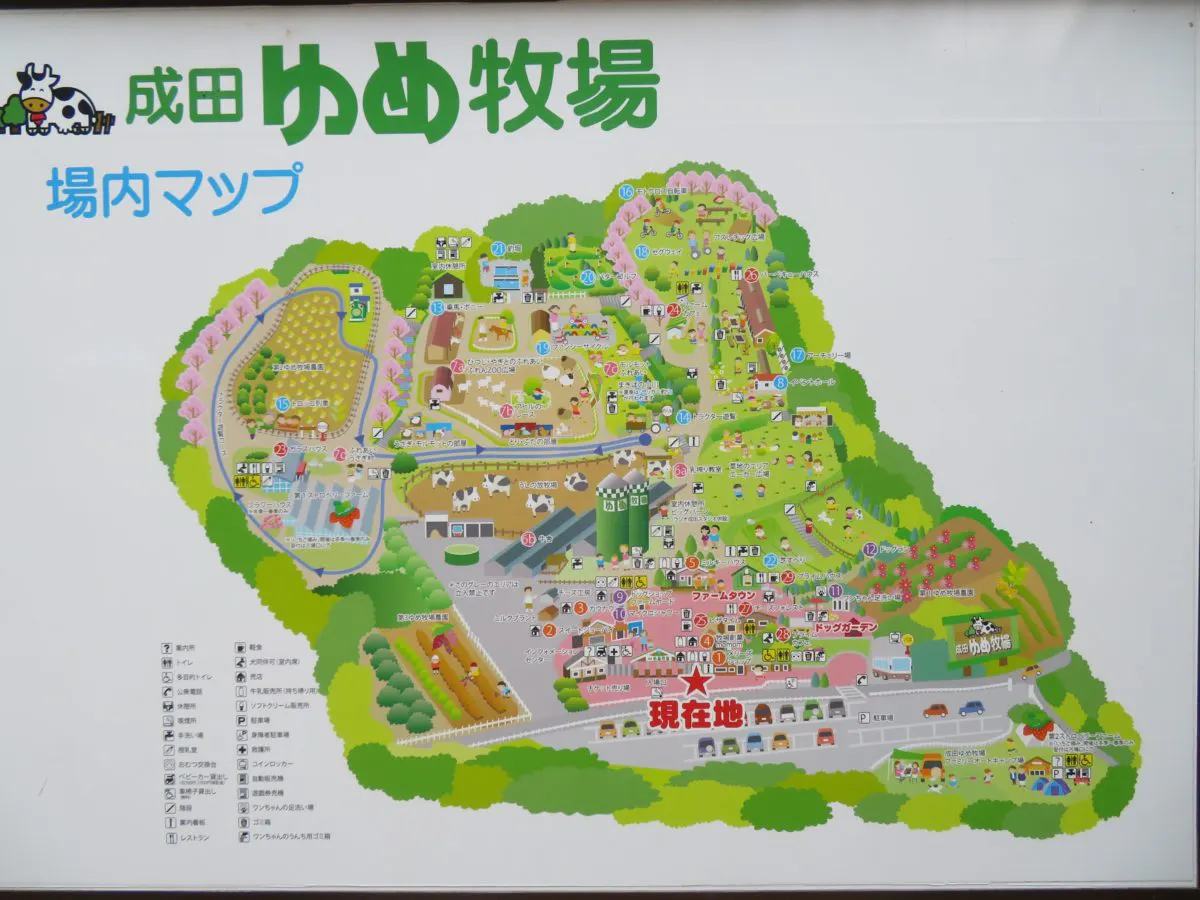 ひまわりフェス 見渡す限り大輪の花が広がる成田ゆめ牧場に溢れる魅力 オマツリジャパン あなたと祭りをつなげるメディア ひまわりフェス 見渡す限り大輪の花が広がる成田ゆめ牧場に溢れる魅力 オマツリジャパン あなたと祭りをつなげるメディア