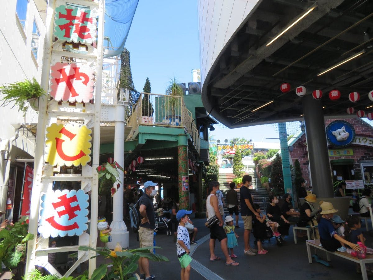 花やしき夏祭り 歴史ムード漂う浅草の盆踊りでソーシャルthisダンス オマツリジャパン あなたと祭りをつなげるメディア 花やしき夏祭り 歴史ムード漂う浅草の盆踊りでソーシャルthisダンス オマツリジャパン あなたと祭りをつなげるメディア