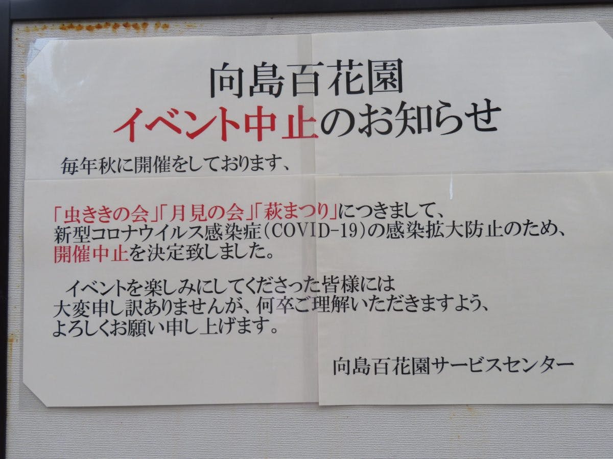 向島百花園 萩まつり アーチの中が秋の気配で満たされる萩のトンネル オマツリジャパン あなたと祭りをつなげるメディア