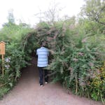 【向島百花園・萩まつり】アーチの中が秋の気配で満たされる萩のトンネル