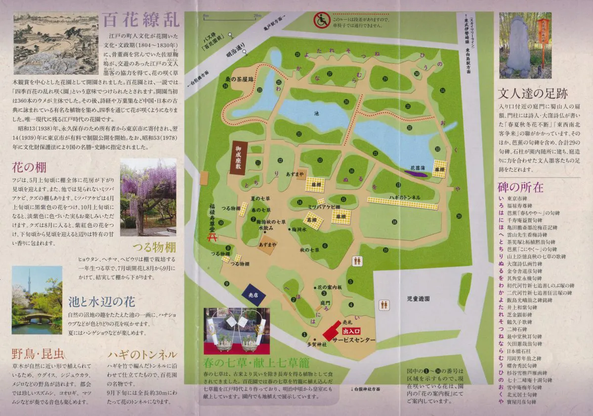 向島百花園 萩まつり アーチの中が秋の気配で満たされる萩のトンネル オマツリジャパン あなたと祭りをつなげるメディア