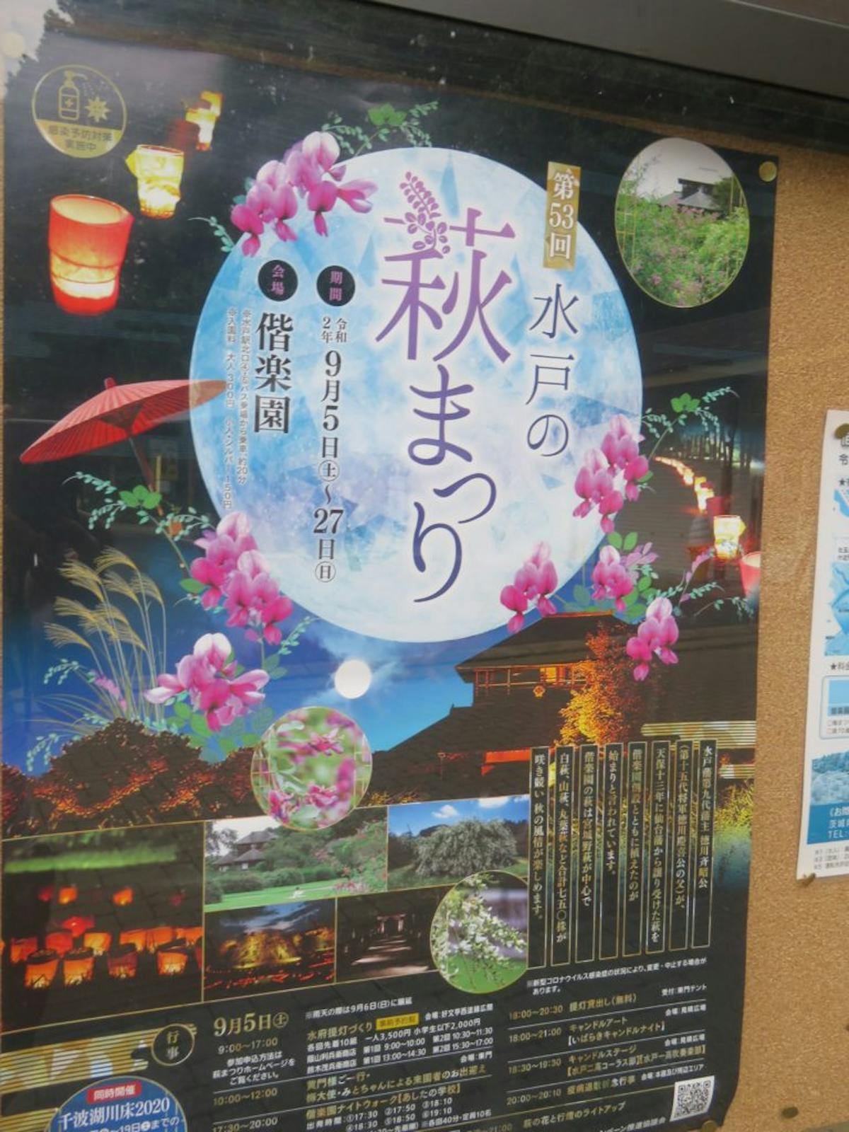 水戸の萩まつり 梅の名所で知られる偕楽園の初秋の彩り オマツリジャパン 毎日 祭日 水戸の萩まつり 梅の名所で知られる偕楽園の初秋の彩り オマツリジャパン 毎日 祭日